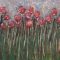 Poppies and grass 6
