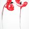 Red Poppies Small 3
