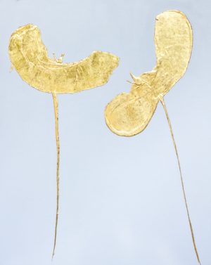 gold leaf poppies, renaissance technique, contemporary art in florence