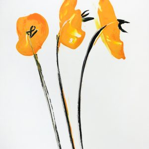 Poppies medium