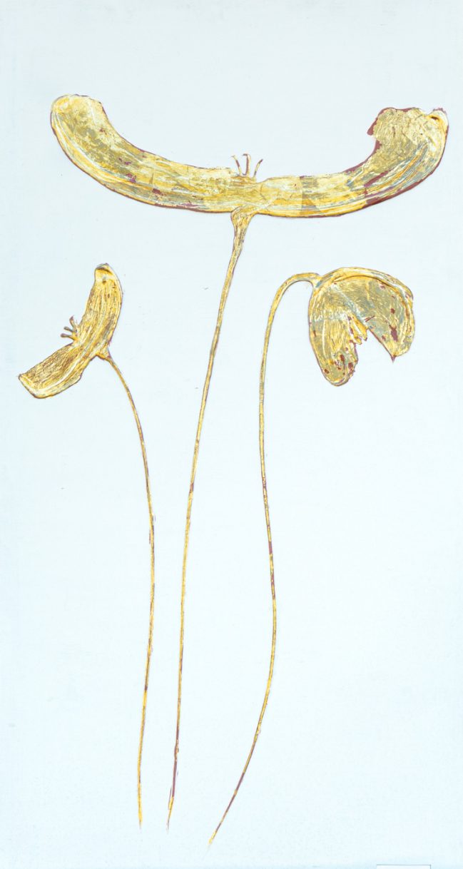 gold poppies vertical