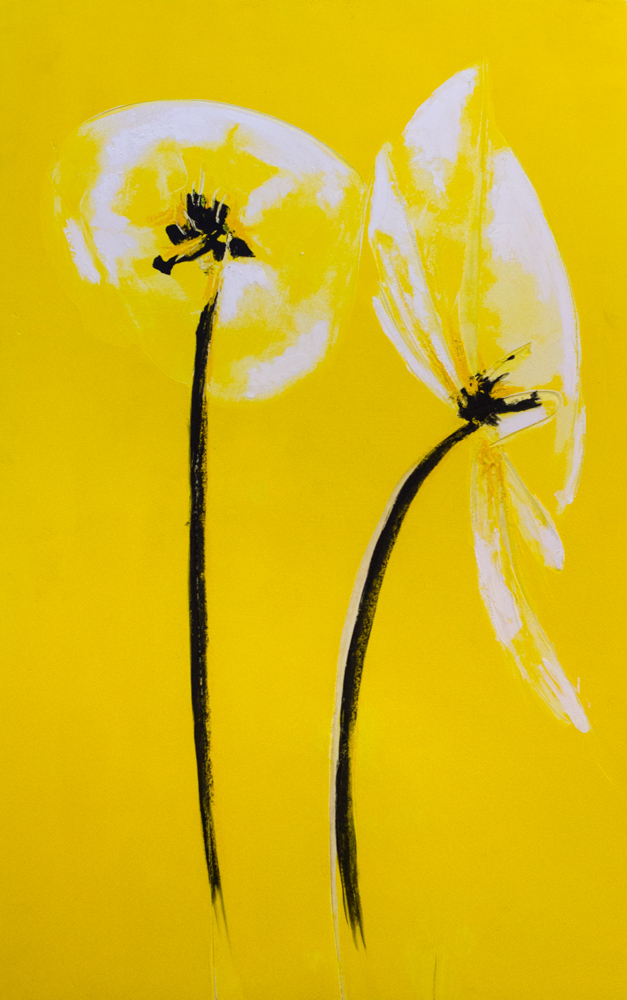 white poppies yellow contemporary artwork
