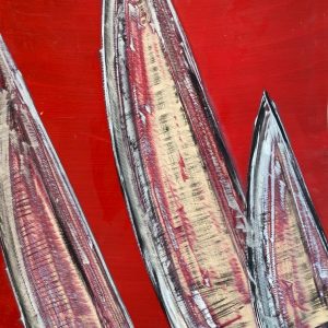 regatta in red
