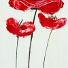 Spring red poppies