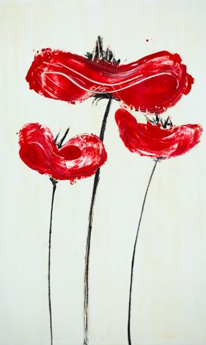 Spring red poppies