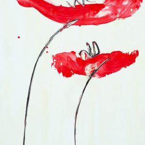 spring red poppies