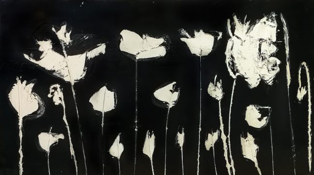 papaveri bianchi sul fondo nero 112 x 63 cm