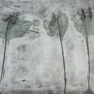 gray poppies