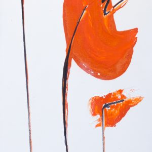 papaveri orange 26 x 56