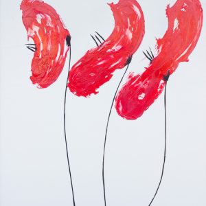 red poppies
