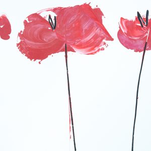 poppies red medium art for sale