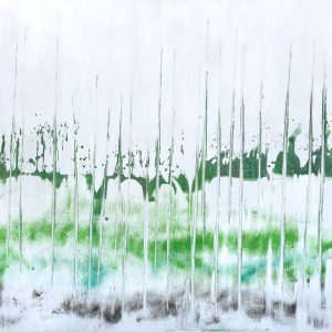 Natura Foresta Verde