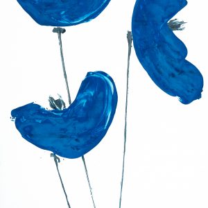 Blue Poppies 2022