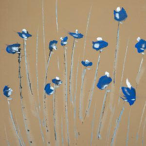 Blue poppies blossom