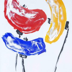 Papaveri primary colors