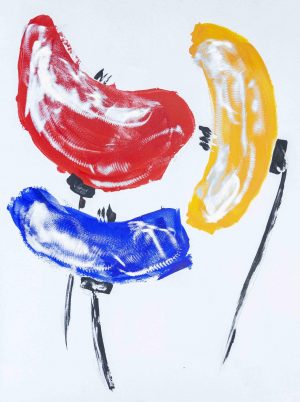 Papaveri primary colors